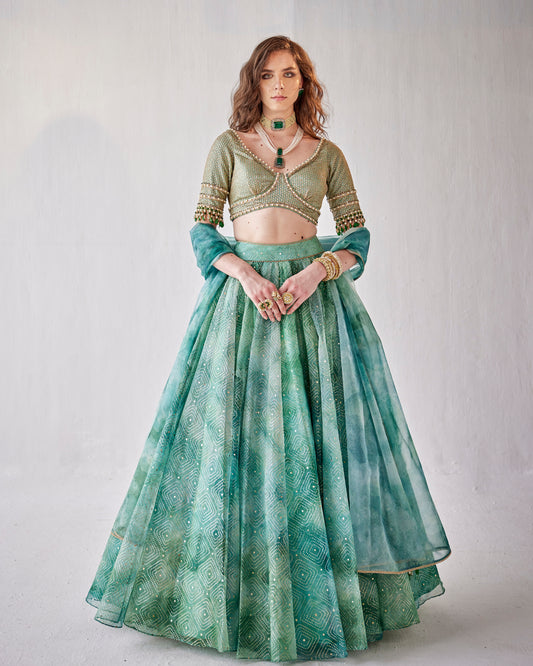 Jade stone lehenga