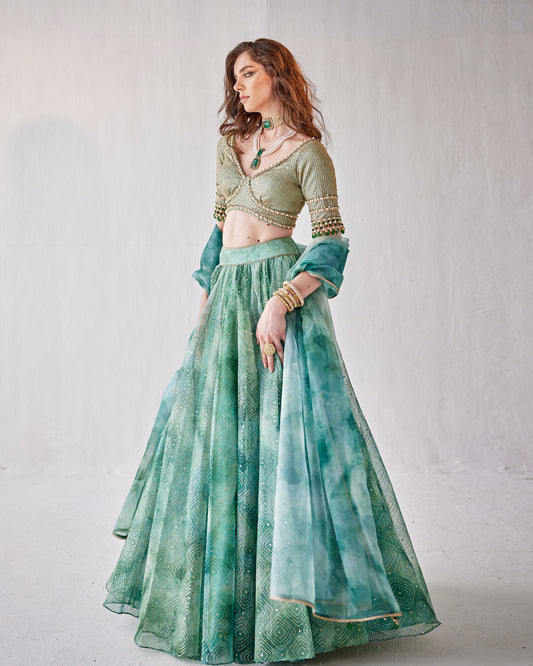 Jade stone lehenga