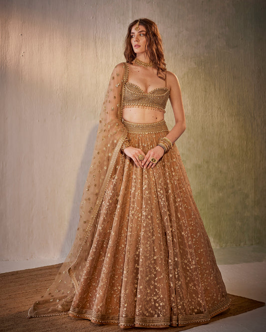 Zari jaal embroidered organza lehenga