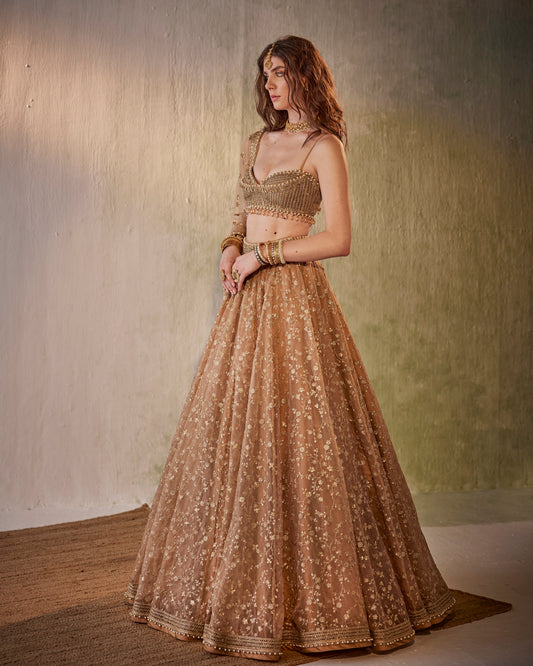 Zari jaal embroidered organza lehenga