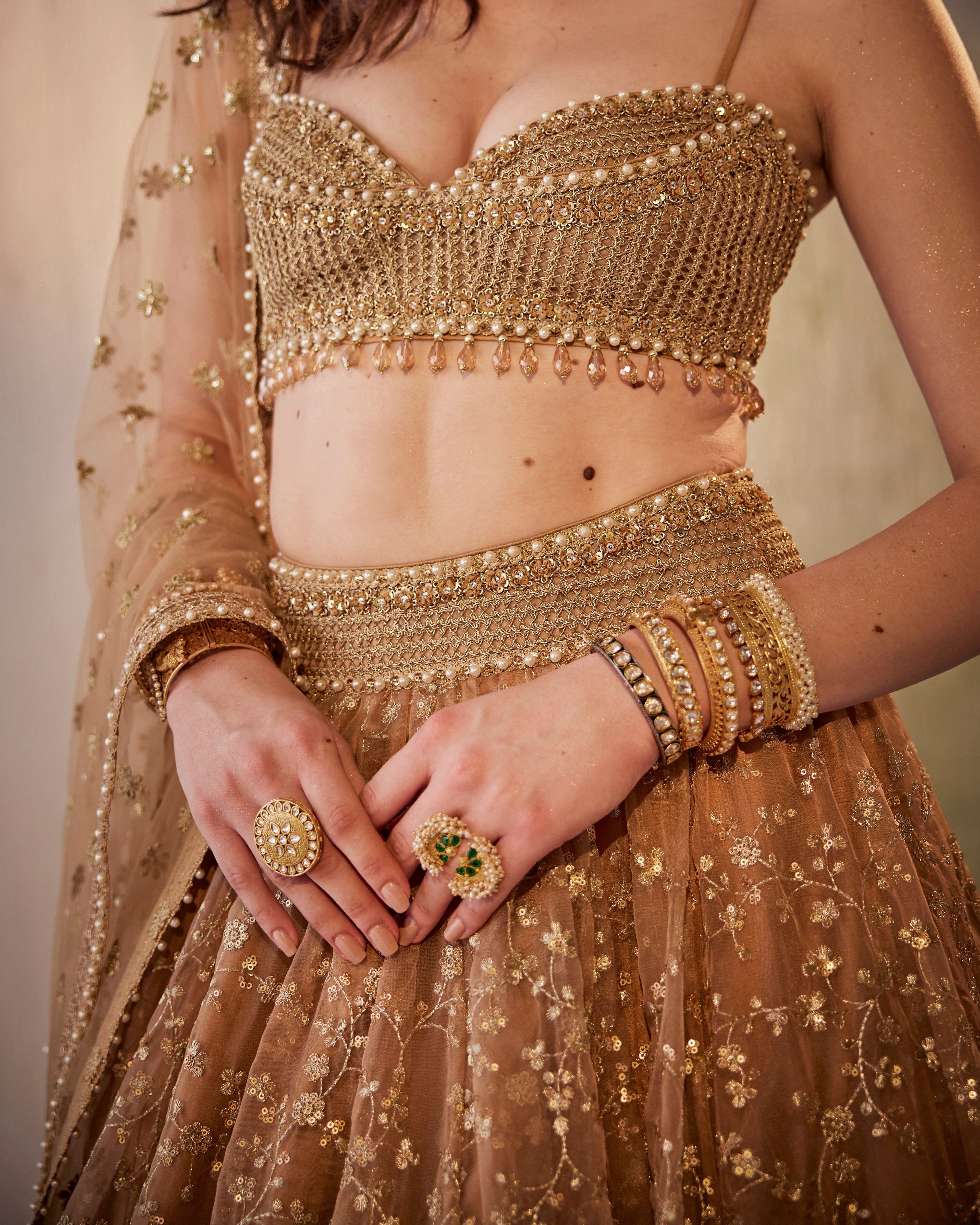 Zari jaal embroidered organza lehenga