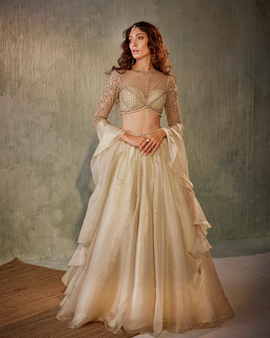 Ivory foil organza lehenga