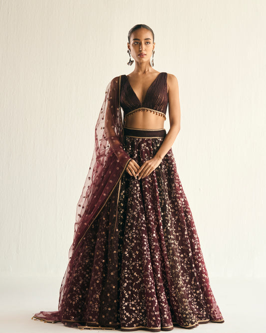 Burgandy and brown zari jaal embroidered lehenga