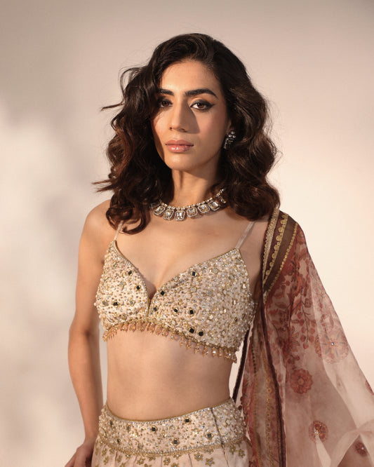 Ivory sparkling floral spray lehenga