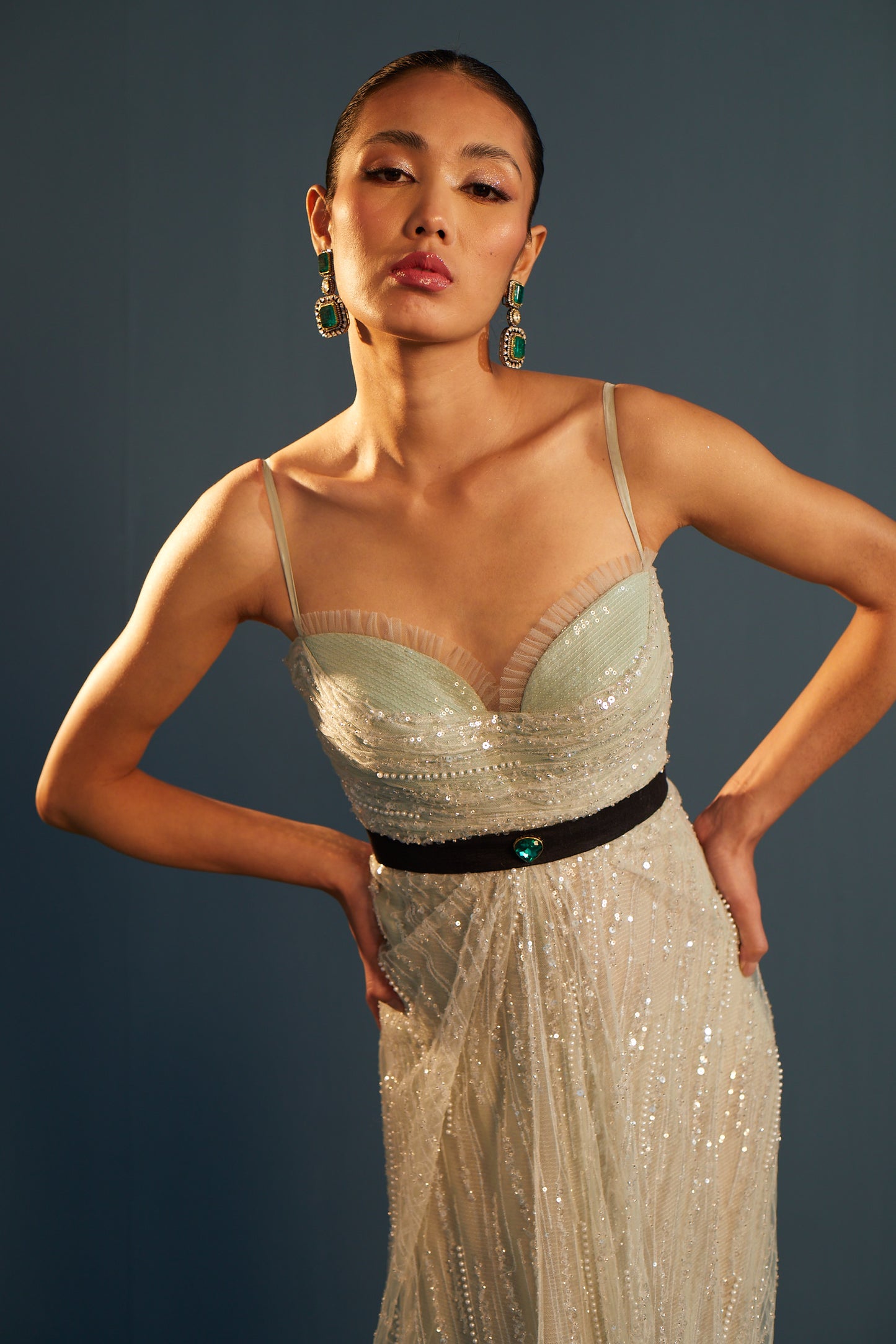 Draped column embroidered tulle gown