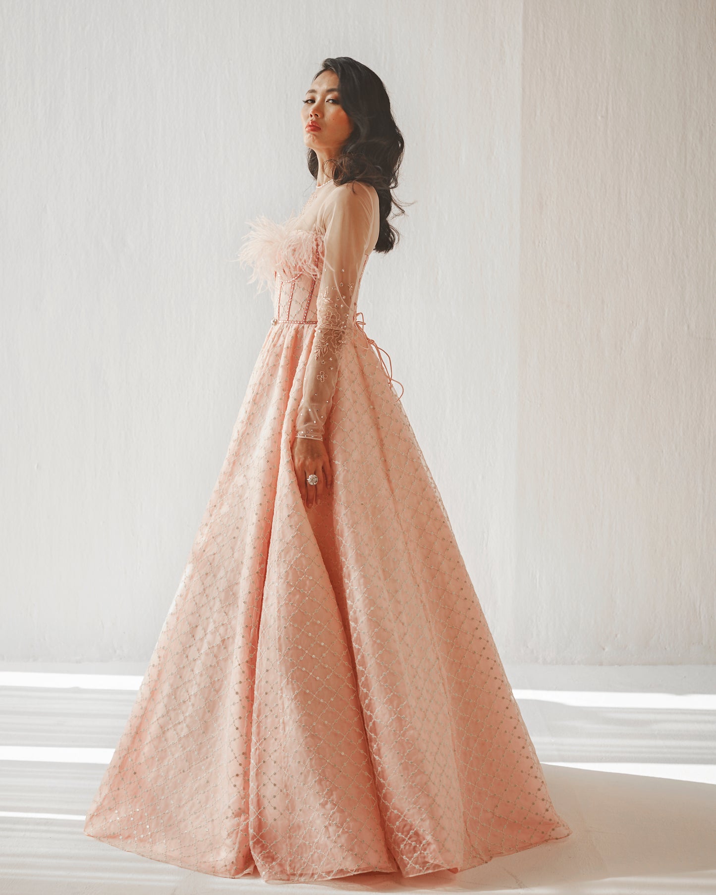Blush embroidered organza gown