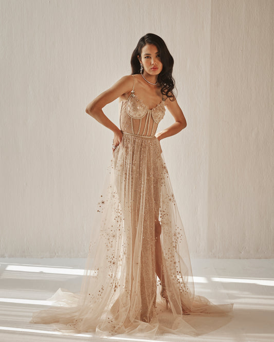 Nude embroidered tulle gown