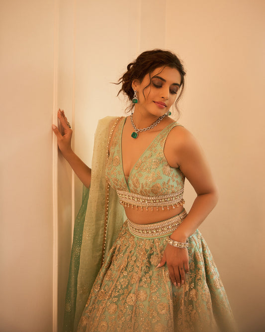 Gold embroidered tulle lehenga