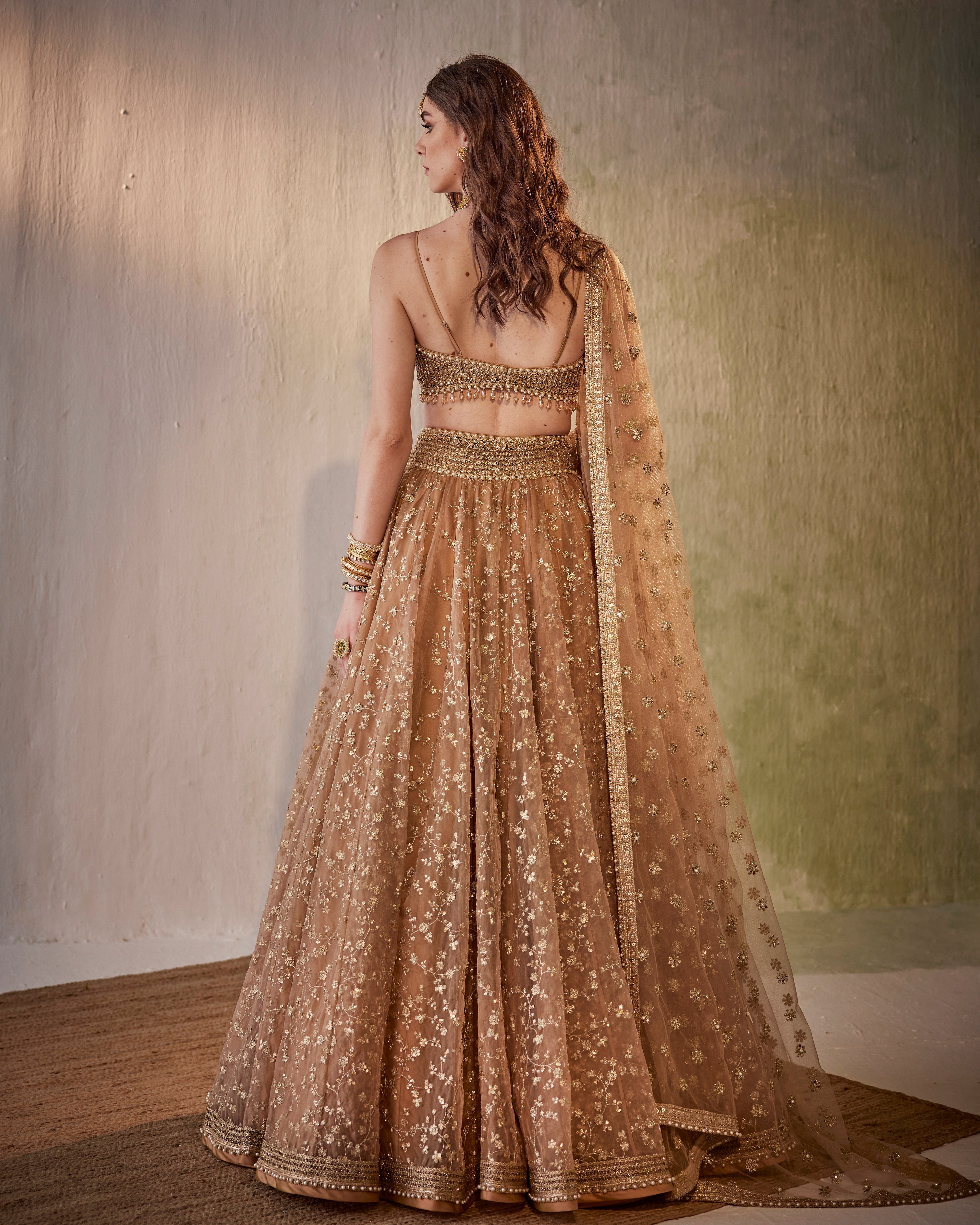 Zari jaal embroidered organza lehenga