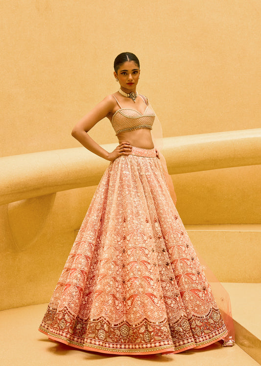 Pink Nighat