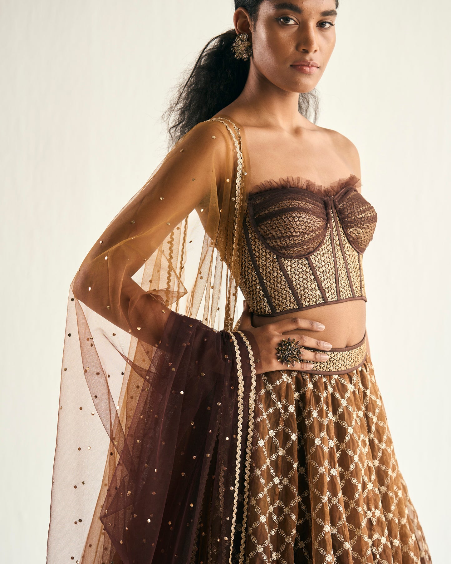Ombre brown embroidered organza lehenga