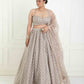 Tonal embroidered organza lehenga