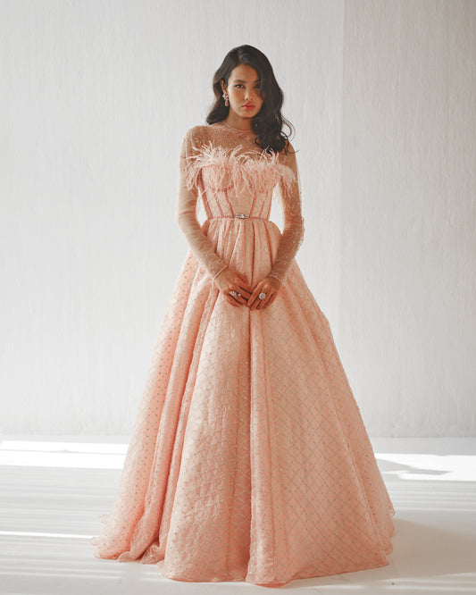 Blush embroidered organza gown