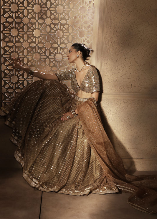 Tulle sequin lehenga with sequin blouse and organza dupatta